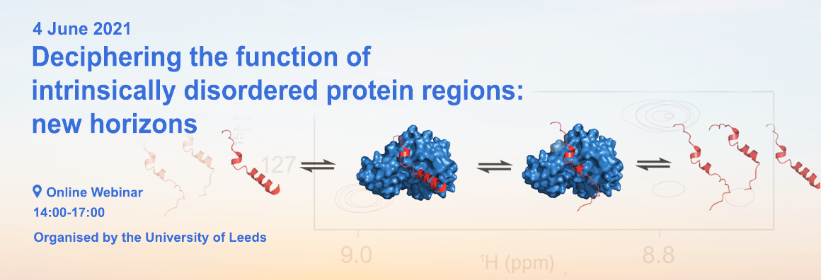 Webinar 4 June 2021 Deciphering The Function Of Intrinsically